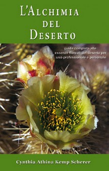 L Alchimia Del Deserto Di Kemp Scherer Cynthia Athina Bruno Galeazzi